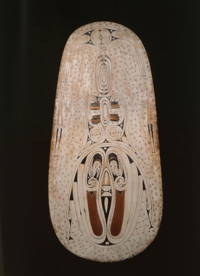 Shield, Trobriand Islands by Oceanic